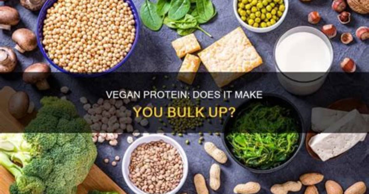 Does Protein Help You Get Stronger