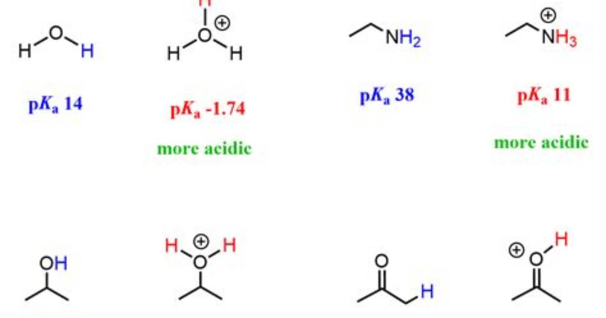 Does Protonated Mean Acidic?