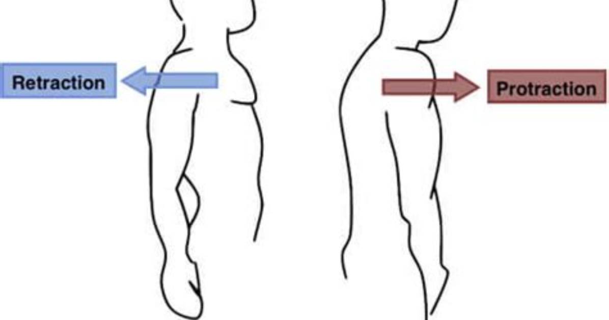 Does Protracted Mean Long?