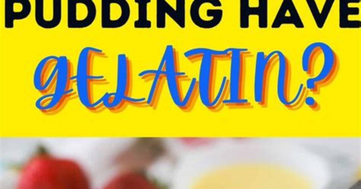 Does Pudding Have Gelatin?