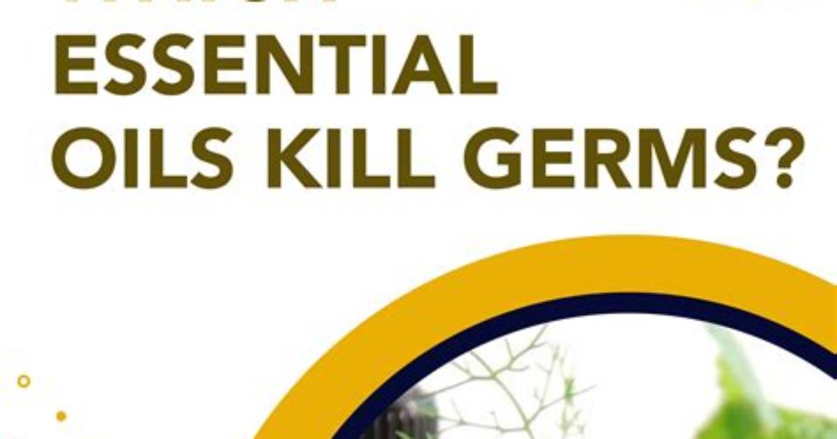 Does Purification Essential Oil Kill Germs?