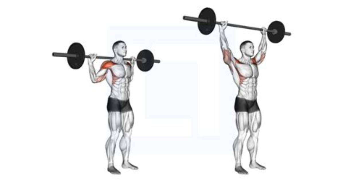 Does Push Press Work Back?
