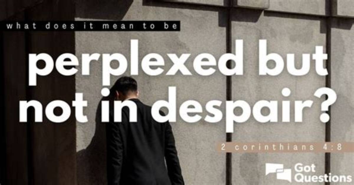 Does Puzzled Mean Perplexed?