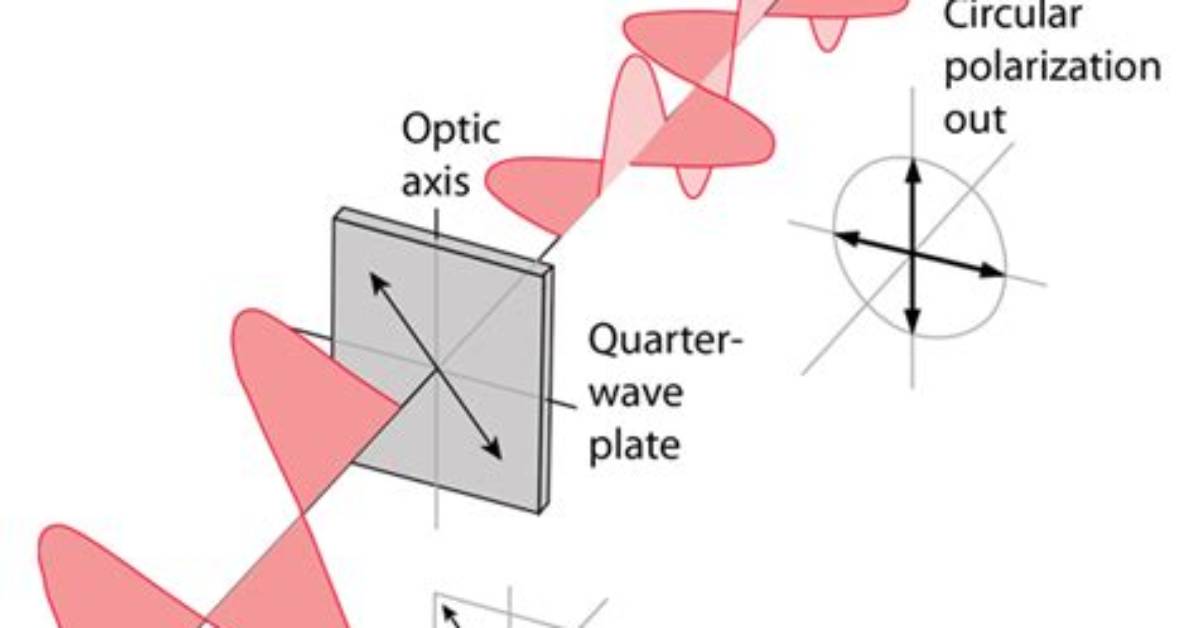 Does Quarter Wave Plate Change Intensity?