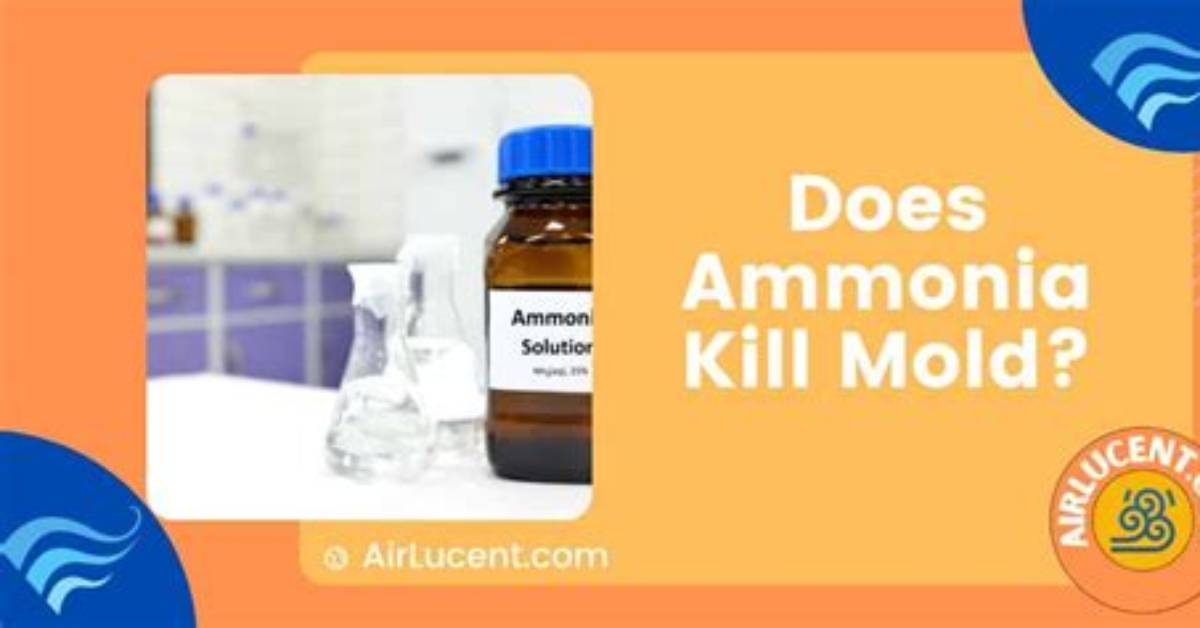 Does Quaternary Ammonia Kill Mold?
