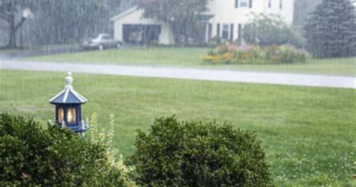 Does Rain Affect Bug Spray