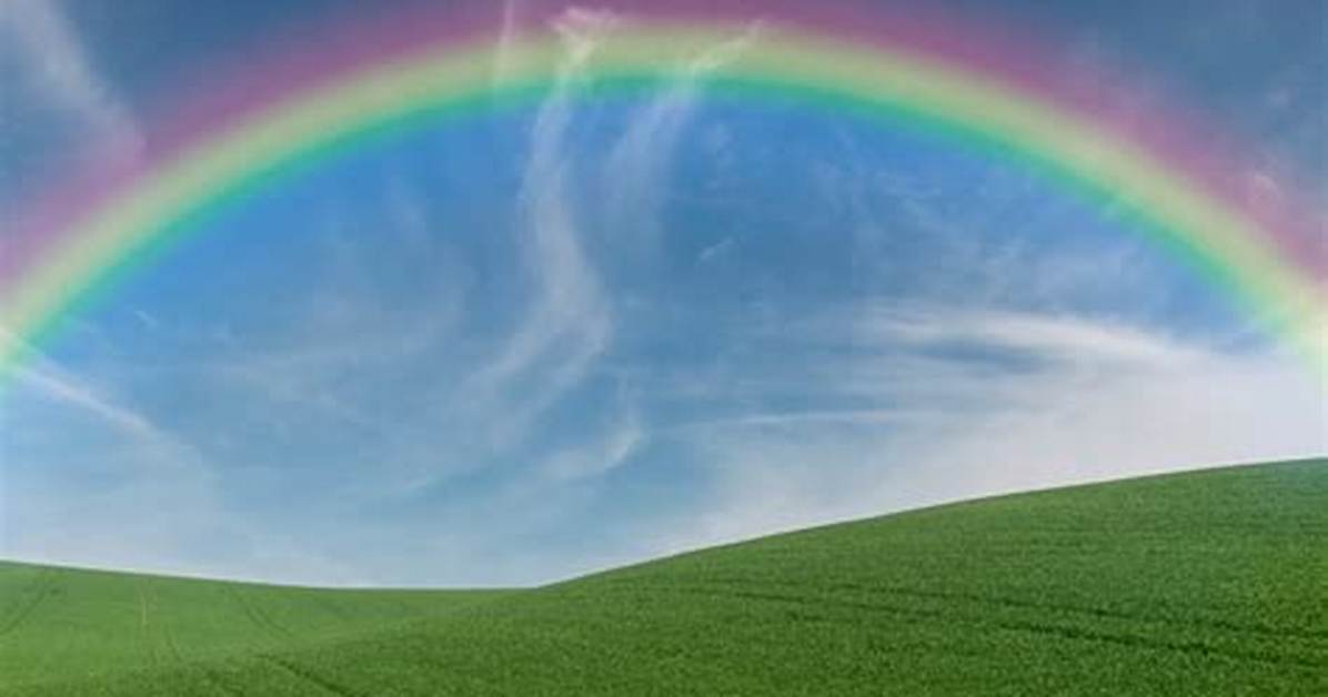 Does Rainbow Have a Filter