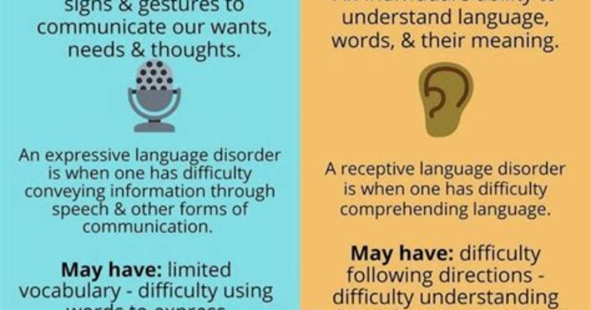 Does Receptive Language Develops Before Expressive?