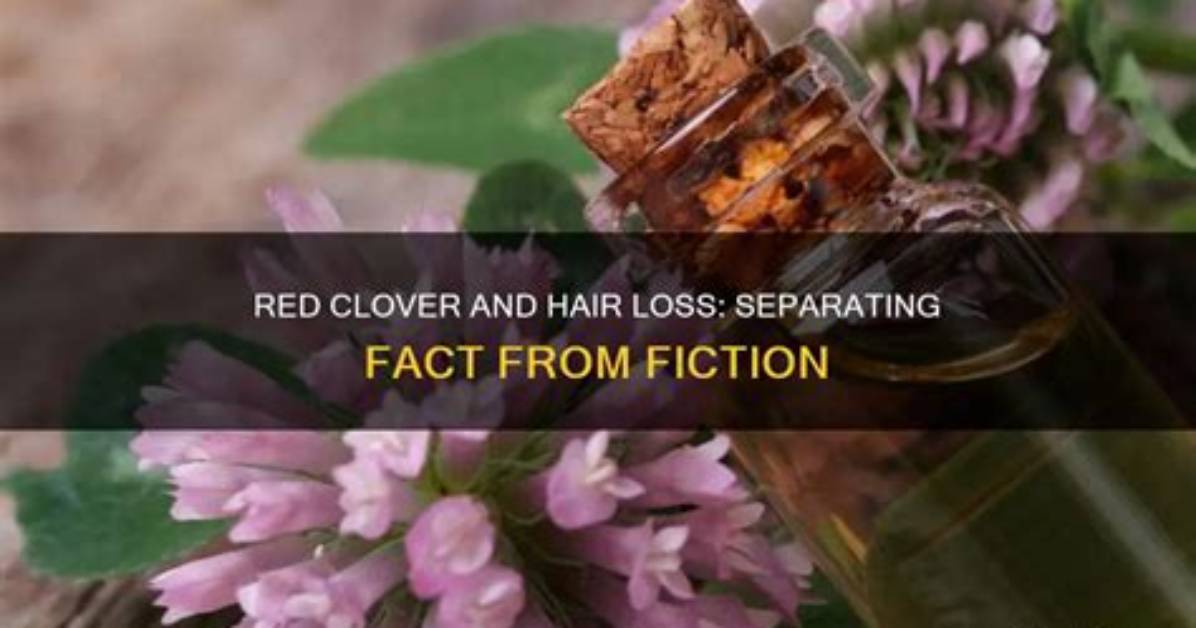 Does Red Clover Cause Weight Loss