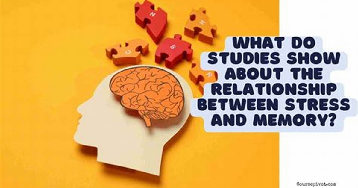 Does Relationship Affect Studies?