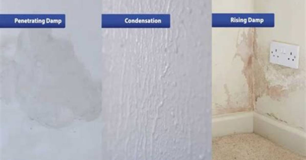 Does Replastering Get Rid of Damp