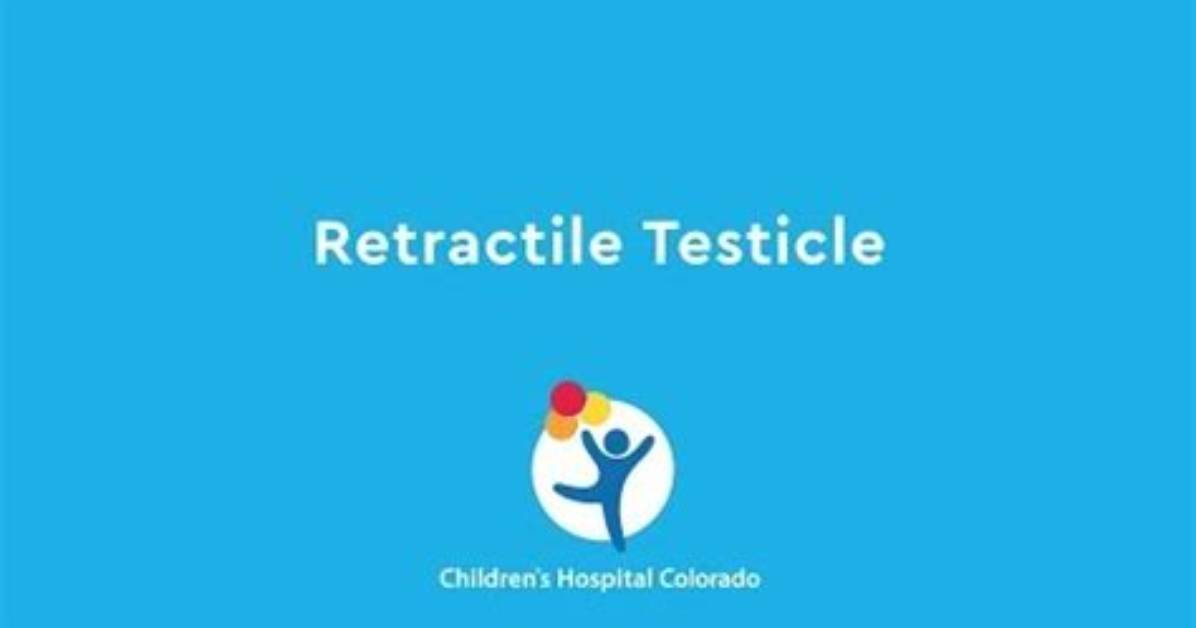 Does Retractile Testicle Cause Infertility