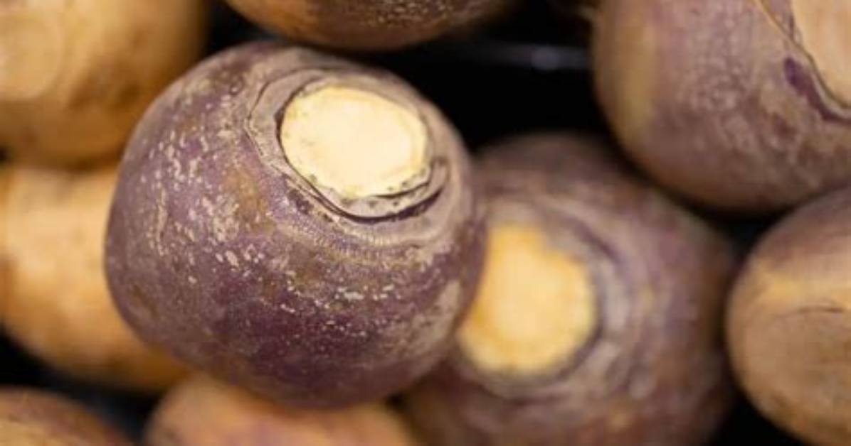 Does Rutabagas Have Carbs?