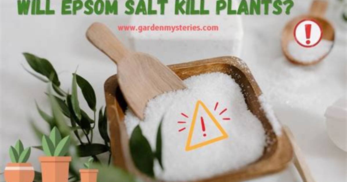 Does Salt Kill Plants?