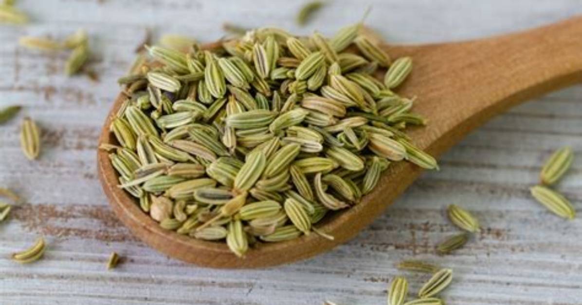 Does Saunf Help in Weight Loss?