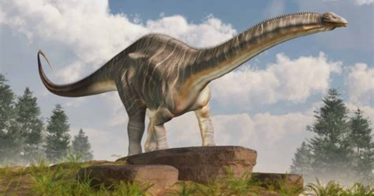Does Sauropods Have Feathers?