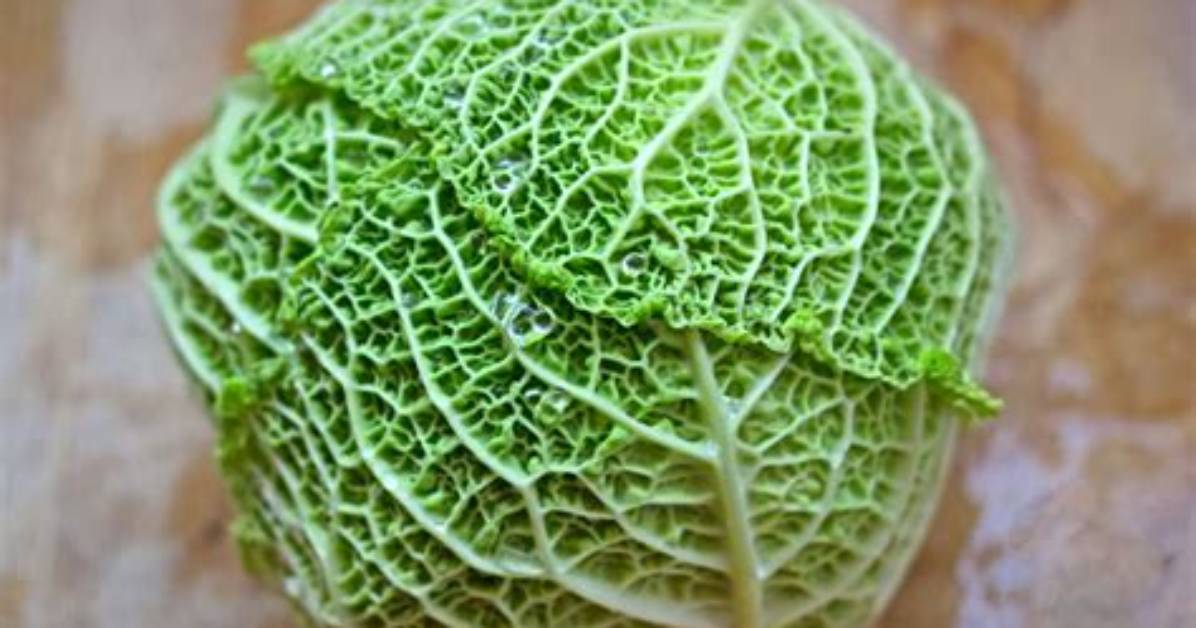 Does Savoy Cabbage Cause Gas?