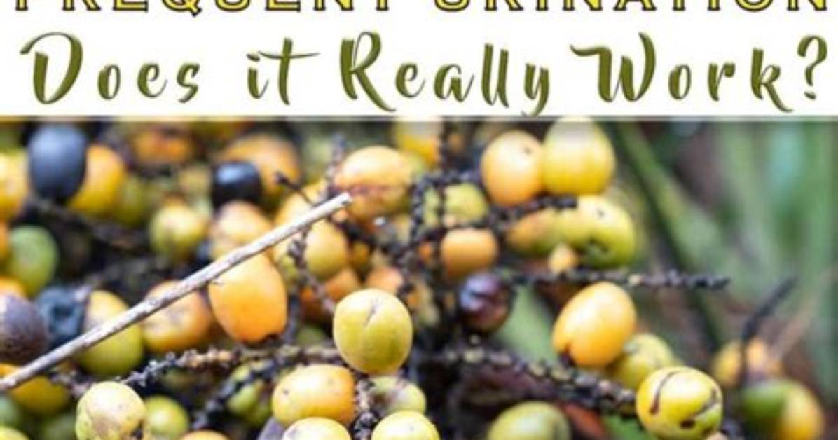 Does Saw Palmetto Really Work