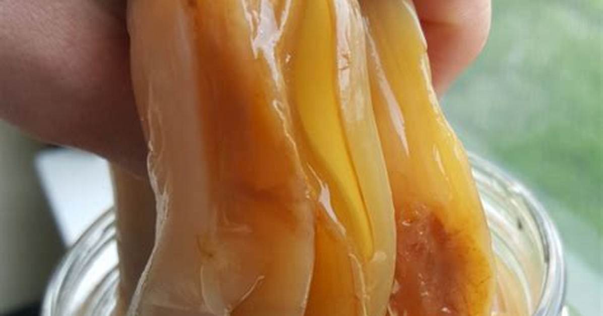 Does Scoby Need Light?