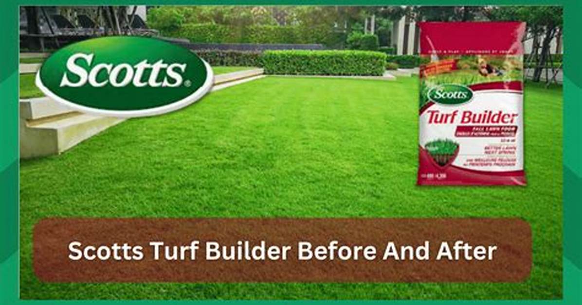 Does Scotts Turf Builder Work?