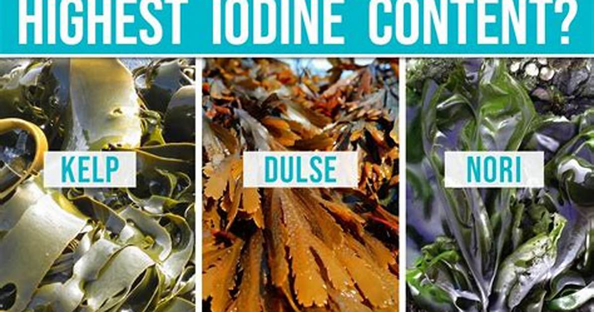 Does Seaweed Have Iodine?