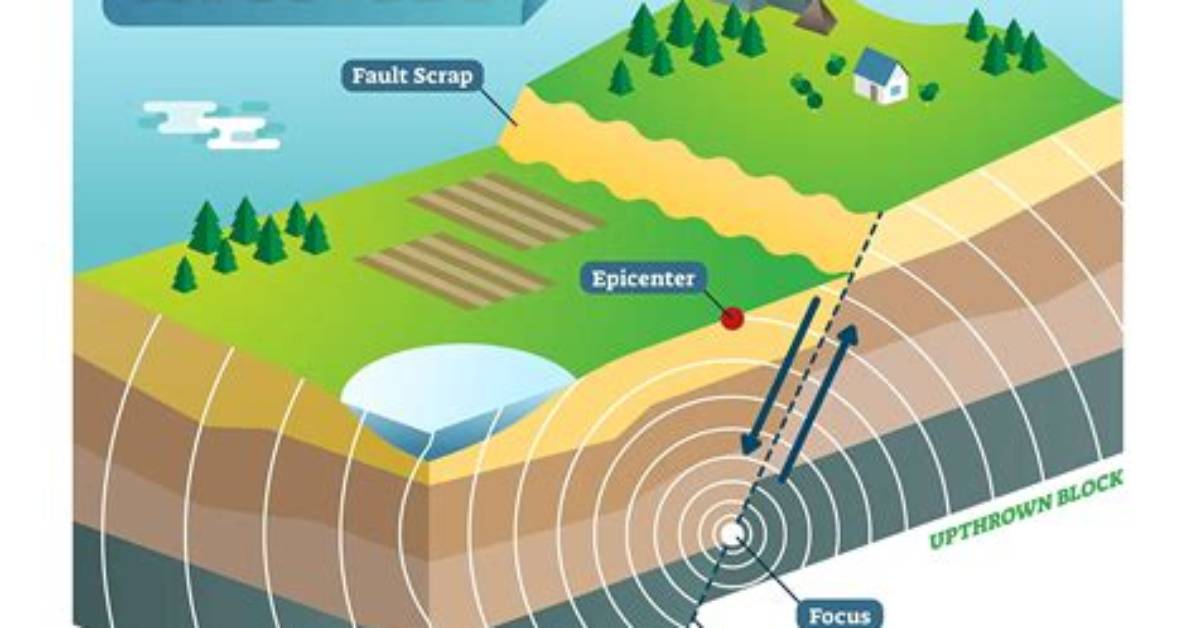 Does Seismic Activity Mean?