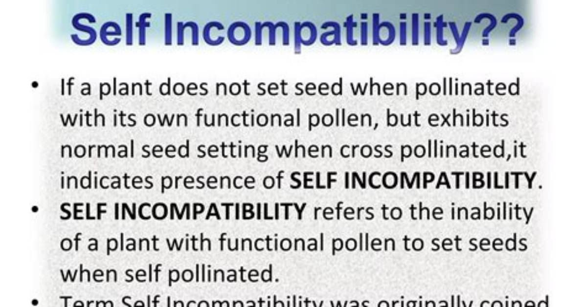 Does Self Incompatibility Provide?