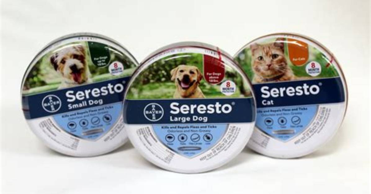 Does Seresto Work for Cats