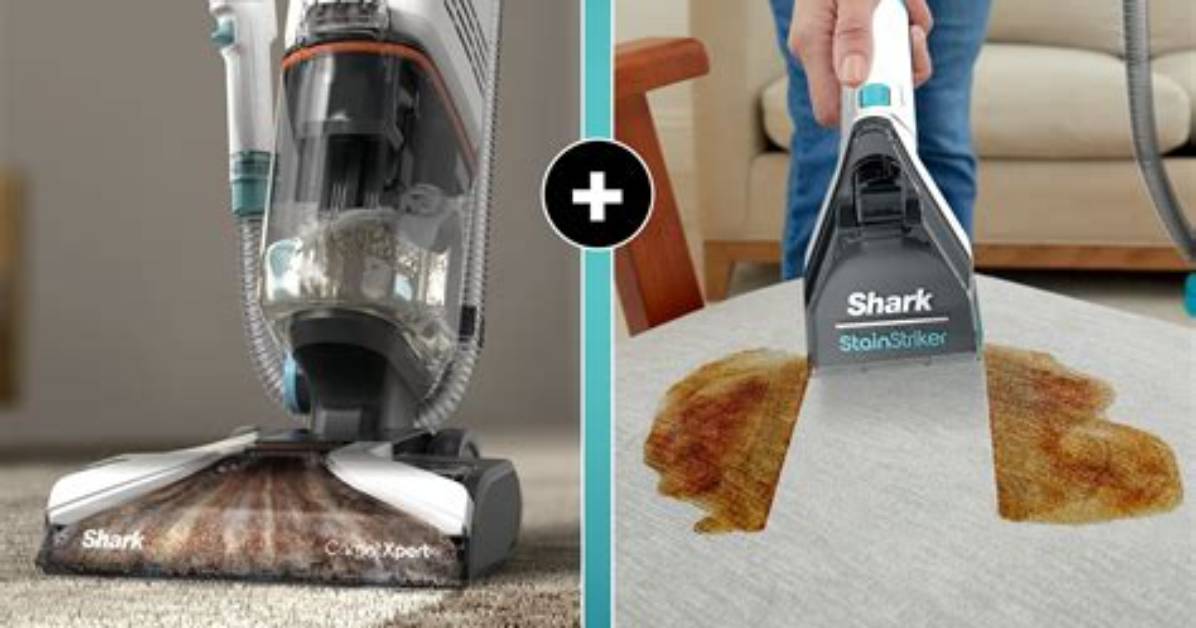Does Shark Have a Carpet Shampooer