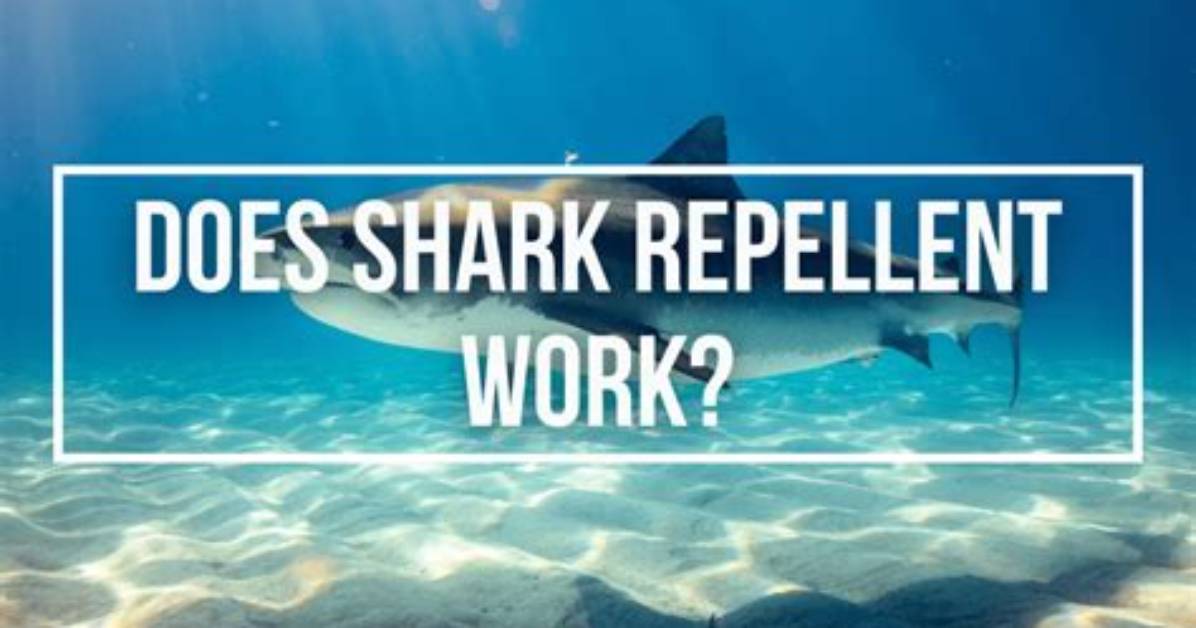 Does Shark off Really Work?