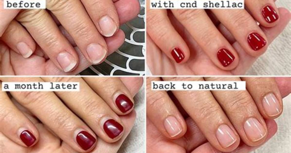 Does Shellac Darken over Time