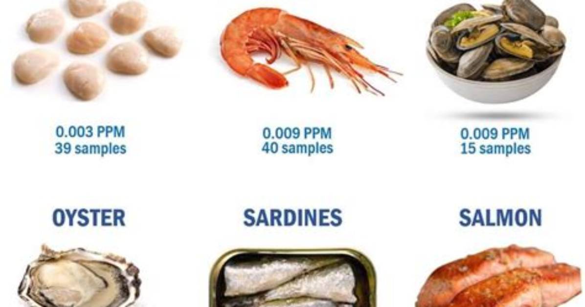 Does Shrimp Have Mercury
