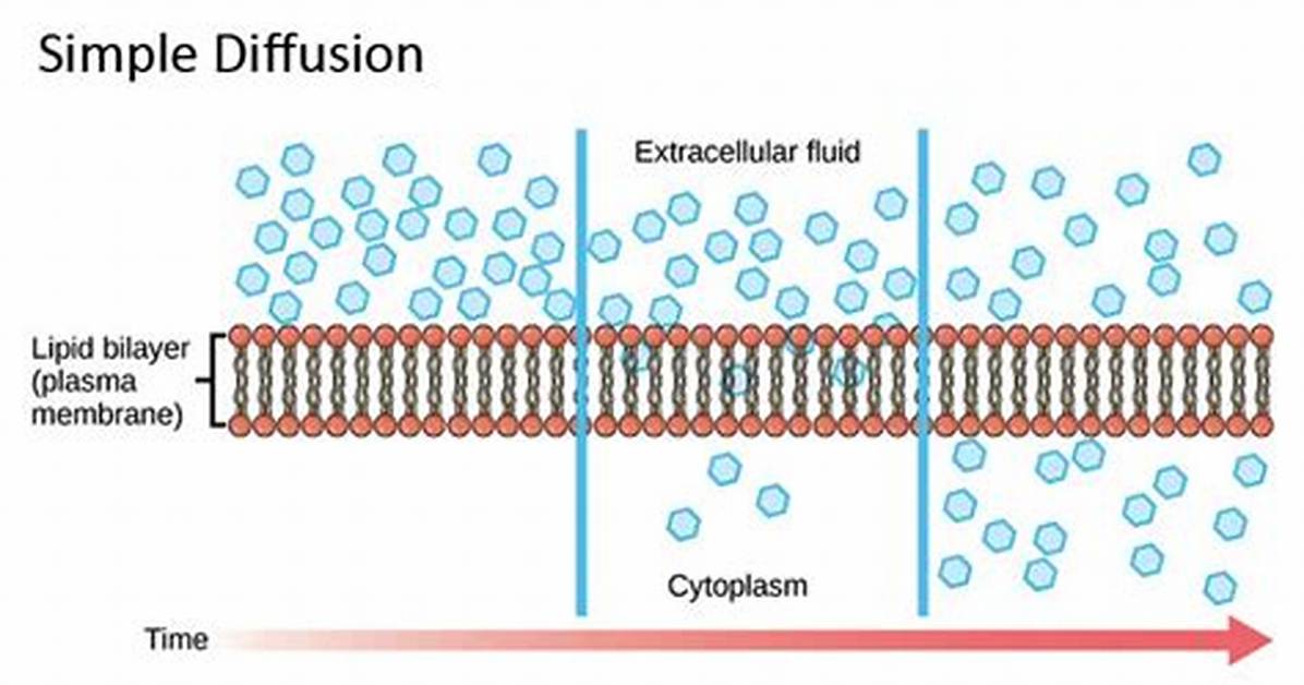 Does Simple Diffusion Transport Saturates?
