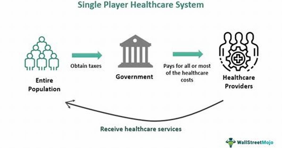 Does Single Payer Work in Other Countries?