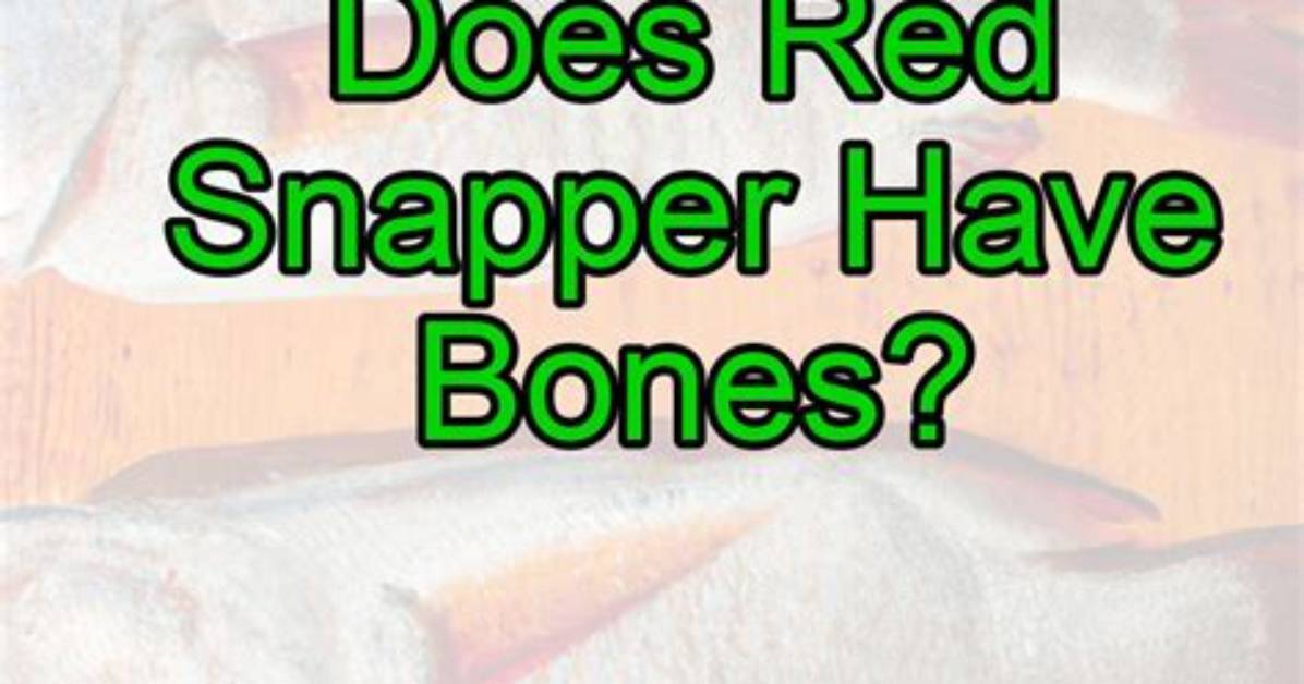 Does Snapper Have Pin Bones?