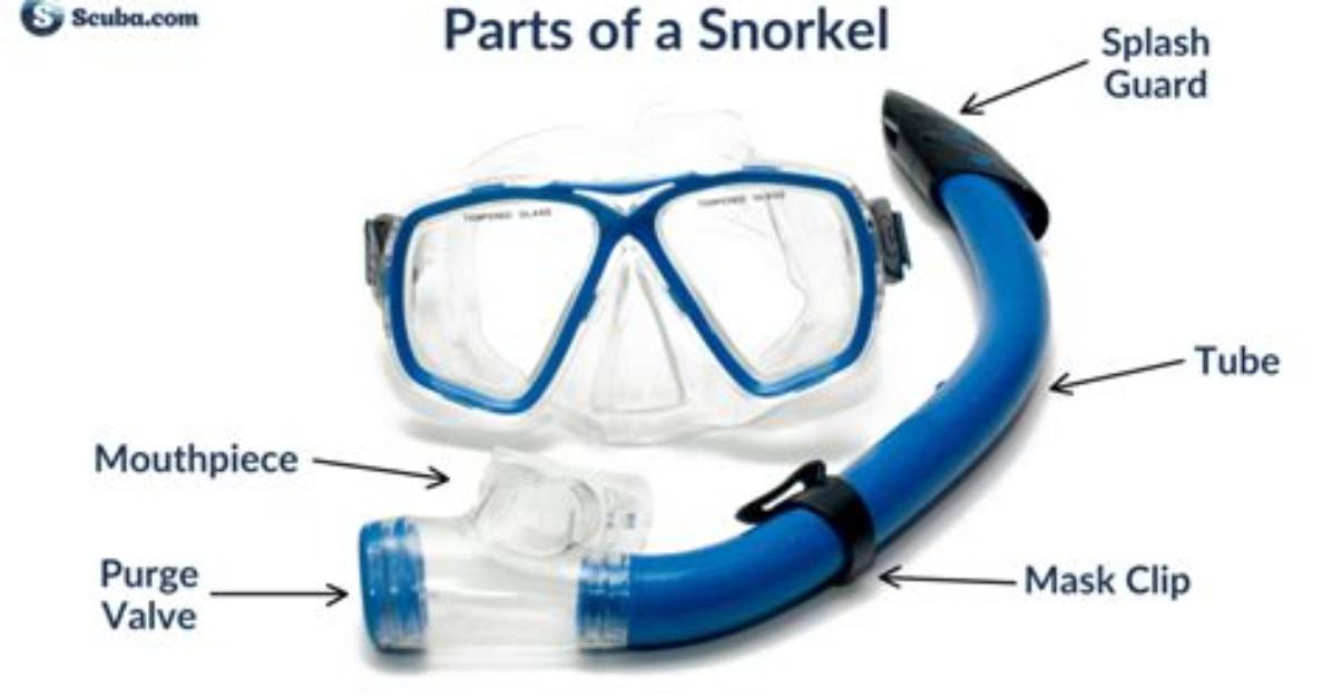 Does Snorkel Increase Power?