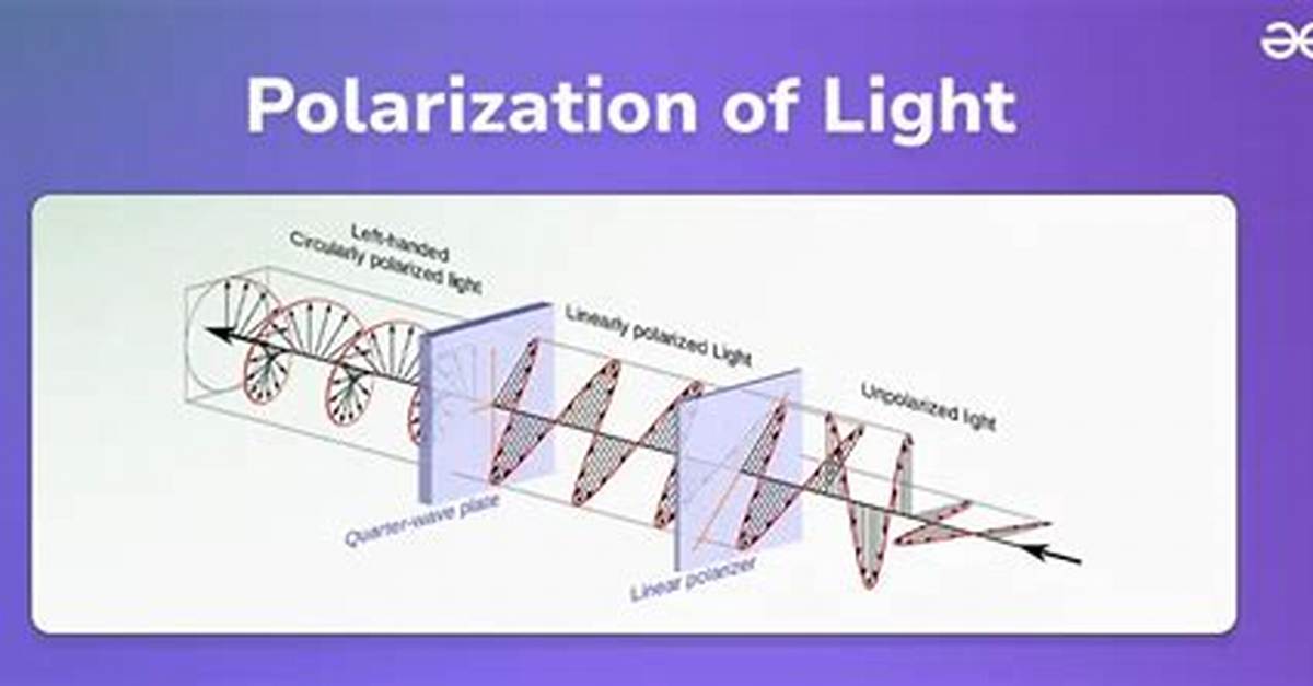 Does Sound Wave Show Polarisation?