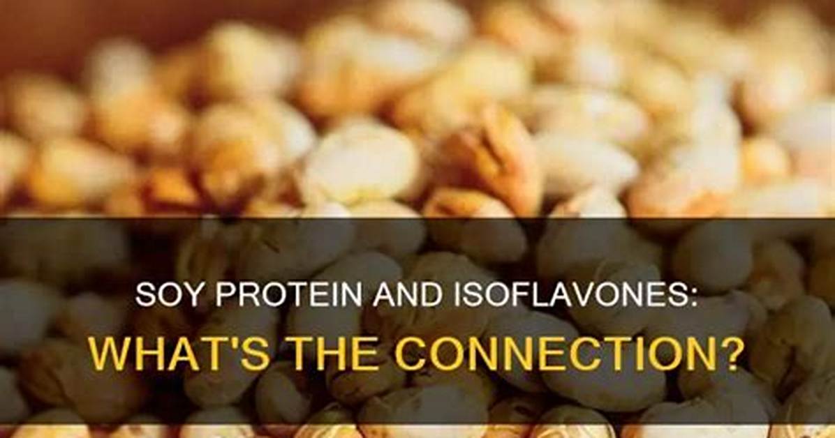 Does Soy Protein Contain Isoflavones