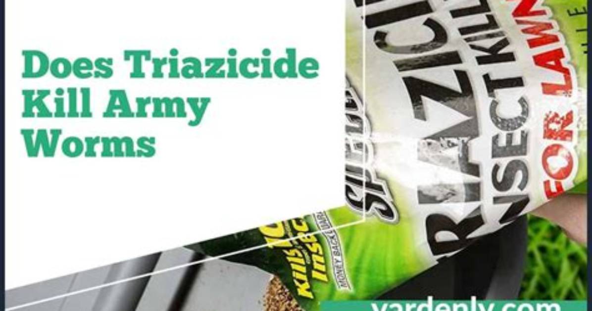 Does Spectracide Kill Armyworms?