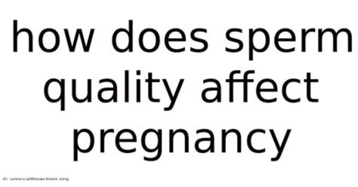 Does Spermatocele Affect Pregnancy?