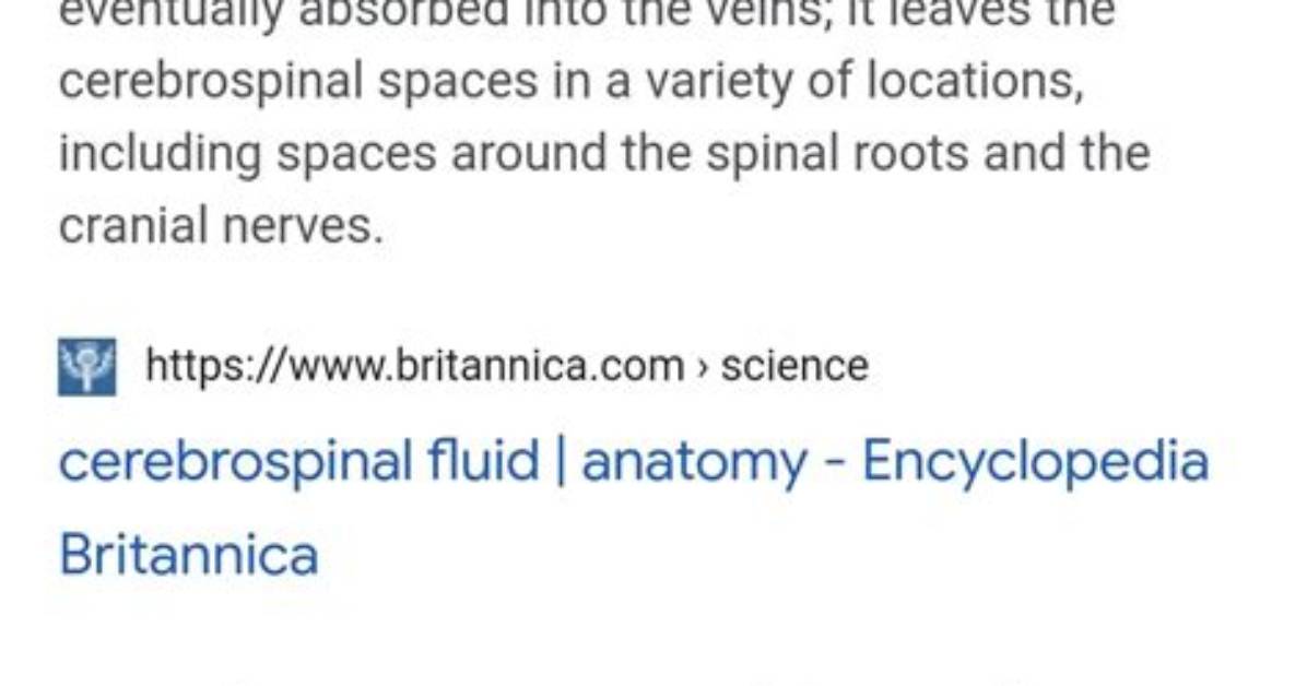 Does Spinal Fluid Regenerate?