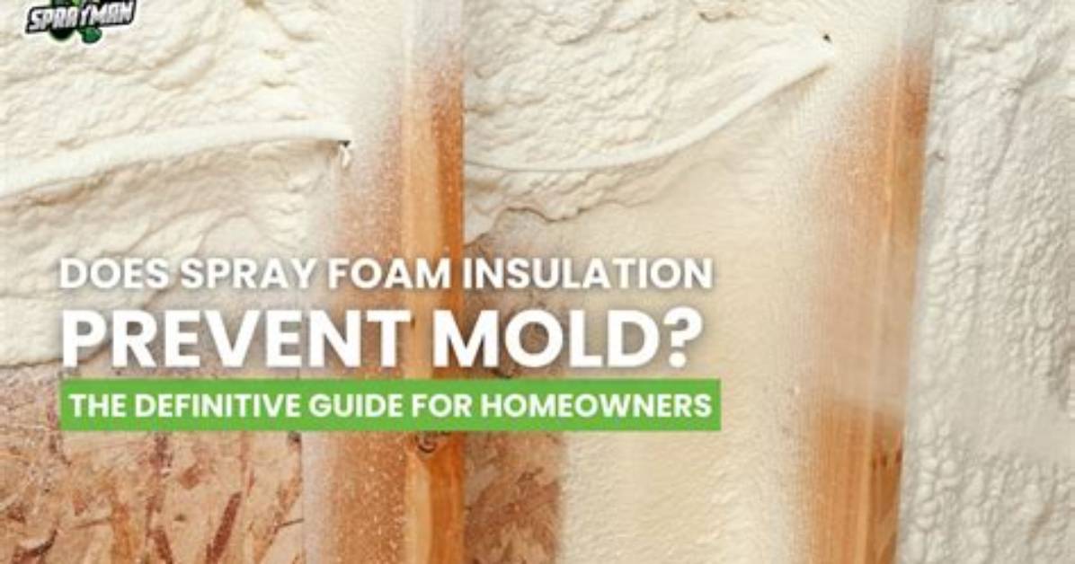 Does Spray Foam Kill Mold