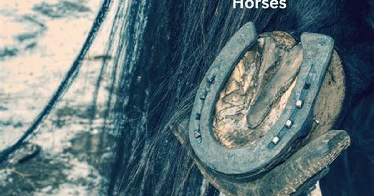 Does Spurring a Horse Hurt Them?