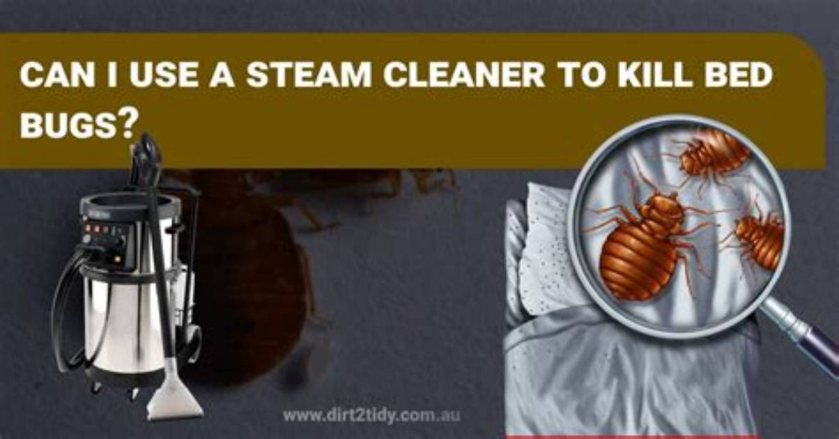 Does Steaming Kill Bed Bugs?