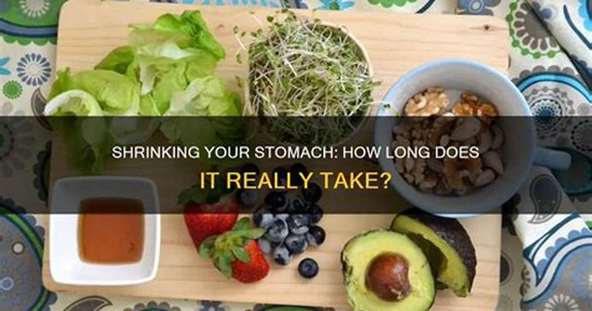 Does Stomach Shrink When Dieting?