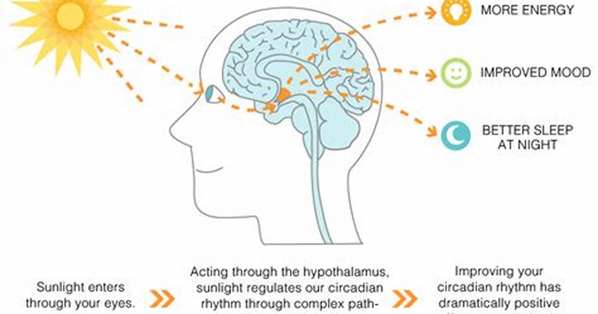Does Sunlight Increase Serotonin?