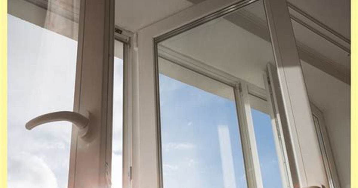 Does Sunlight Kill Mold