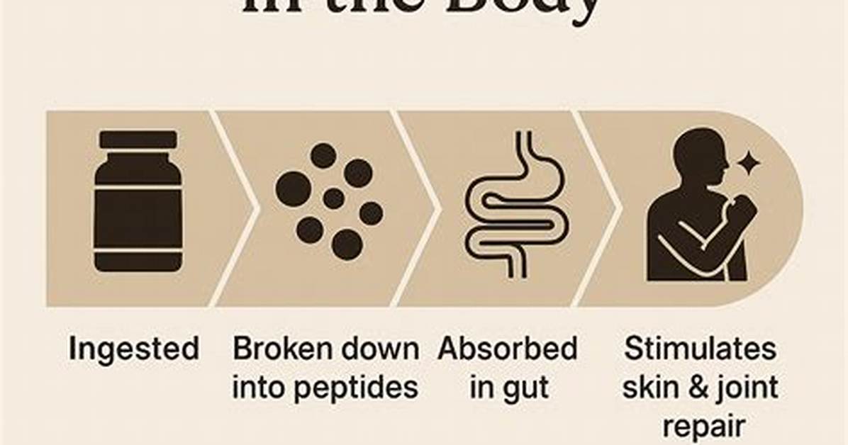 Does Taking Collagen Work for Cellulite?