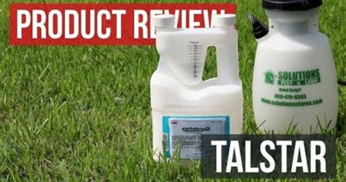 Does Talstar P Kill Ants
