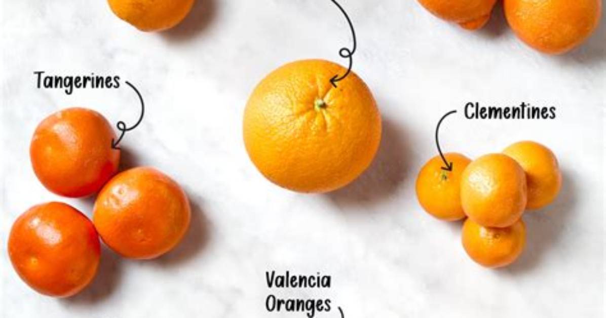 Does Tangerine Come in Different Colors